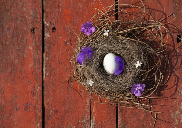 Easter eggs — Stock Photo, Image