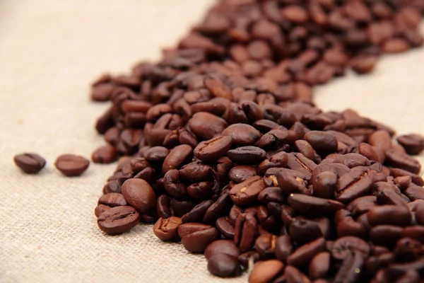 Coffee Beans — Stock Photo, Image