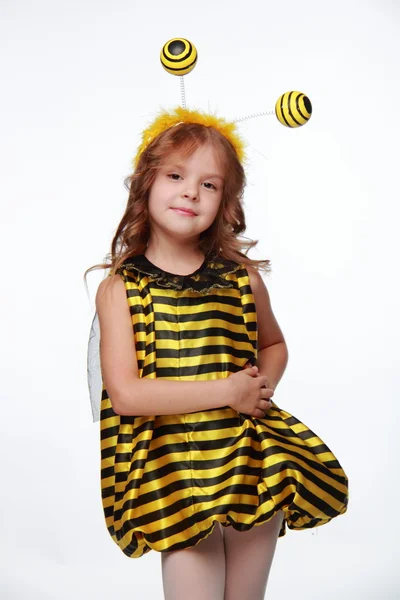 Piccolo Bumblebee — Foto Stock