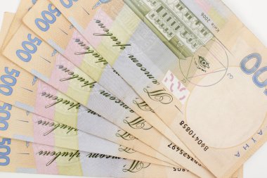 Ukraynalı banknotlar