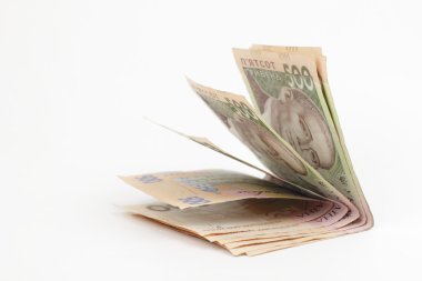 Ukraynalı banknotlar