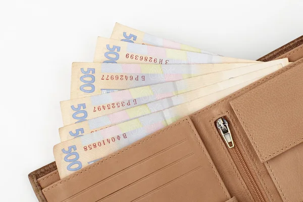 Lederhandtasche mit Geld — Stockfoto