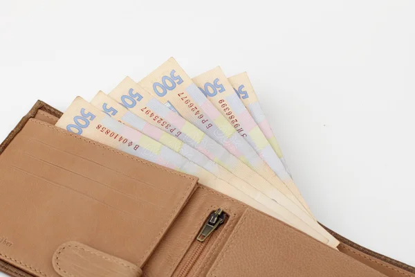 Leather purse with money — Stock Photo, Image