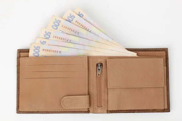 Bolsa de couro com dinheiro — Fotografia de Stock