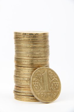 bir Ukraynalı hryvnia sikke ulusal para Ukrayna