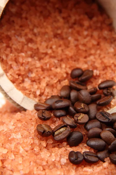 Background of large sea salt and beans — Stock Photo, Image