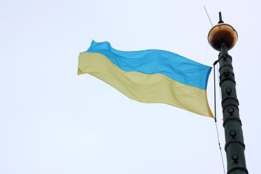 Ukrayna Bayrağı