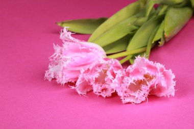 Bir buket pembe lale.
