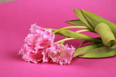 Pembe Laleler