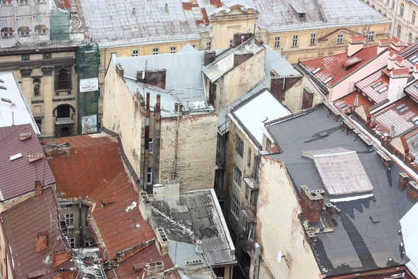 Die dächer von lviv, ukraine — Stockfoto