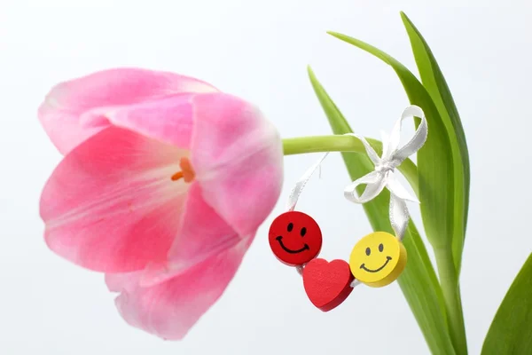 Roze tulpen voor decoratie — Stockfoto