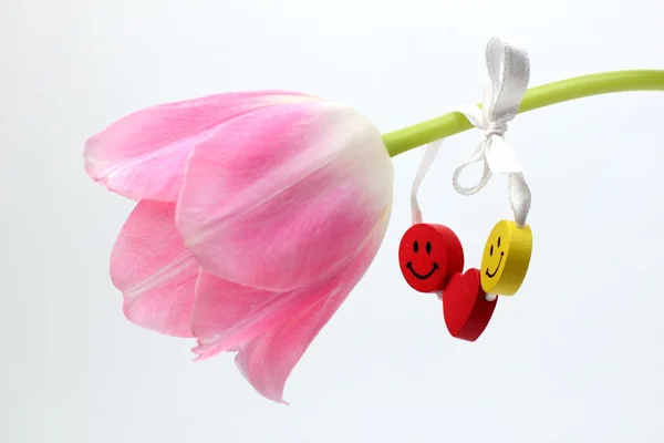 Pink tulips for decoration — Stock Photo, Image