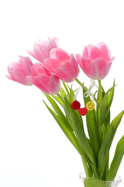 Розовые тюльпаны для украшения — стоковое фото