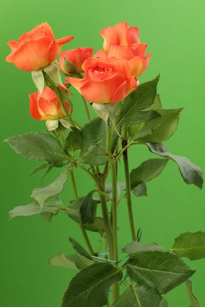 Květinové pozadí pro Valentýna karty — Stock fotografie