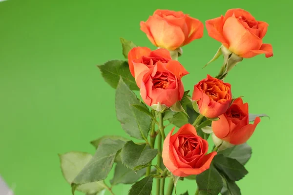 Fond floral pour carte Saint Valentin — Photo