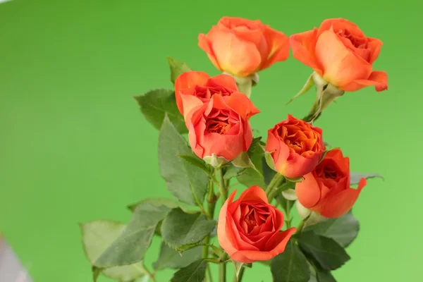 Fondo floral para la tarjeta del día de San Valentín —  Fotos de Stock