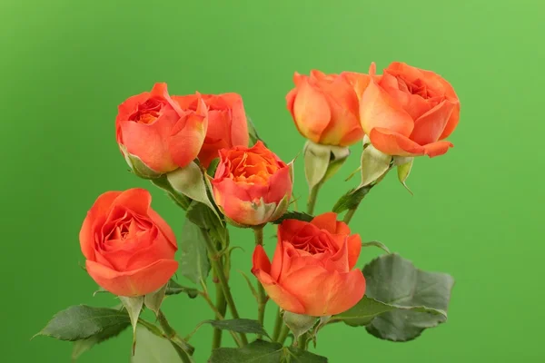 束红色和橙色的玫瑰 — 图库照片