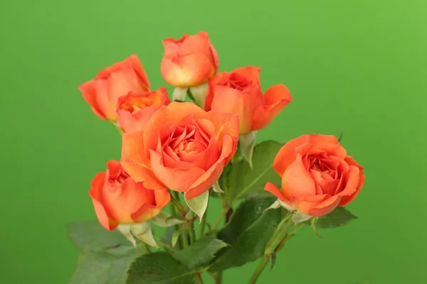 Bund roter und orangefarbener Rosen — Stockfoto