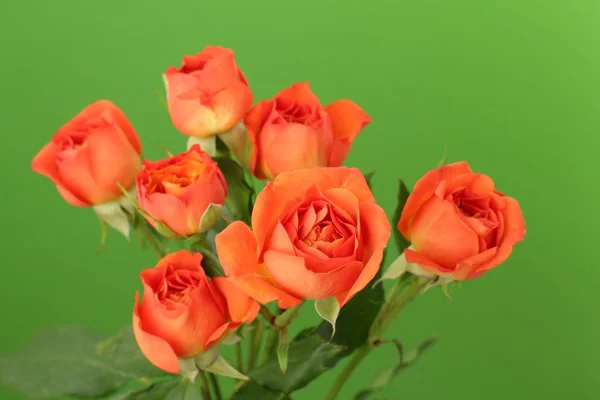 Mazzo di rose rosse e arancioni — Foto Stock