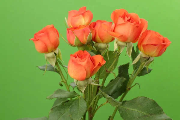 Μάτσο τριαντάφυλλα κόκκινα και πορτοκαλιά — Φωτογραφία Αρχείου