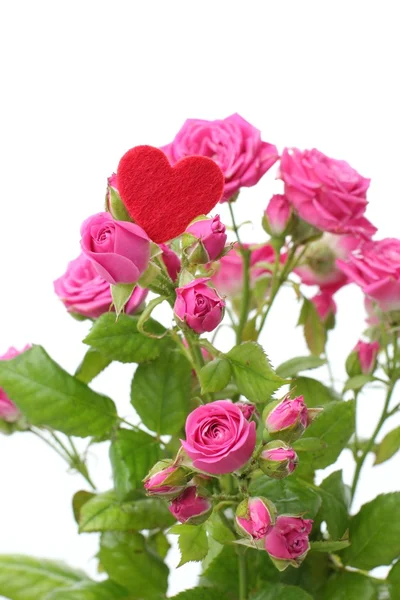 浪漫的心符号和鲜花在情人节快乐上 — 图库照片