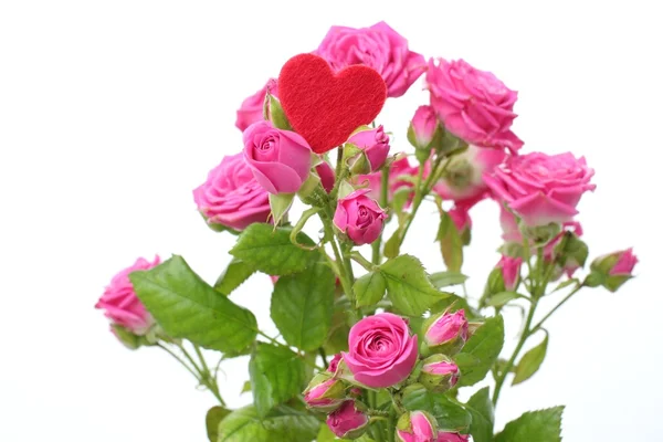 Romantic heart symbol and flowers on Happy Valentine — Stock Photo, Image