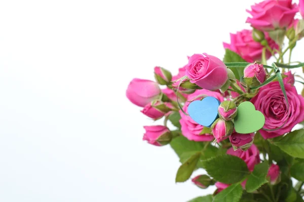 ピンクのバラの花束 — ストック写真