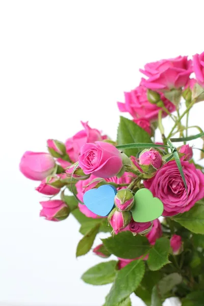 Un mazzo di rose rosa — Foto Stock