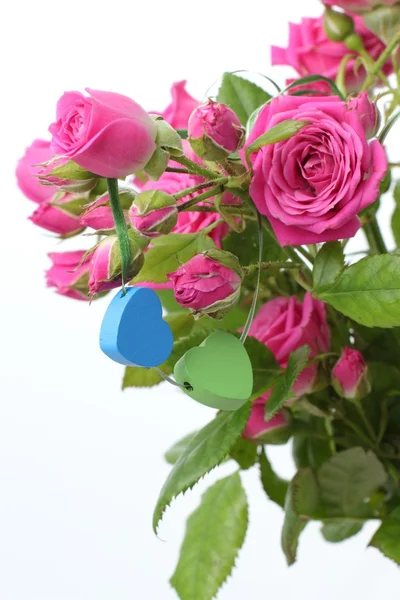 Banda růžových růží — Stock fotografie