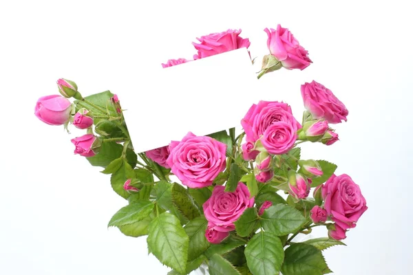 Biglietto d'auguri con rose — Foto Stock