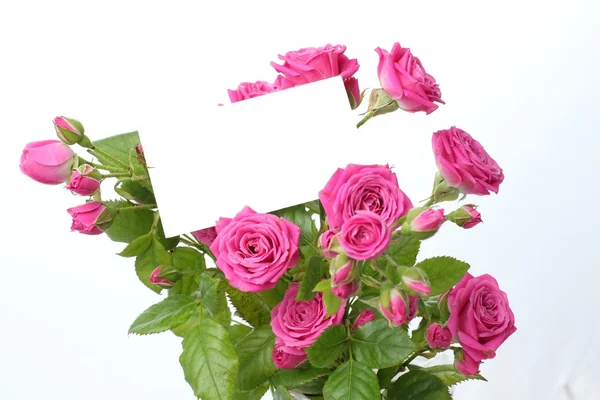 Grußkarte mit Rosen — Stockfoto