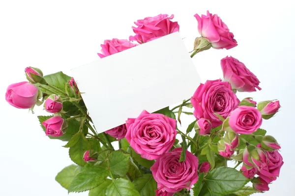 Biglietto d'auguri con rose — Foto Stock