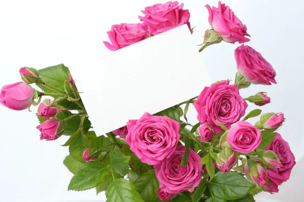 Ευχετήρια κάρτα με τριαντάφυλλα — Φωτογραφία Αρχείου