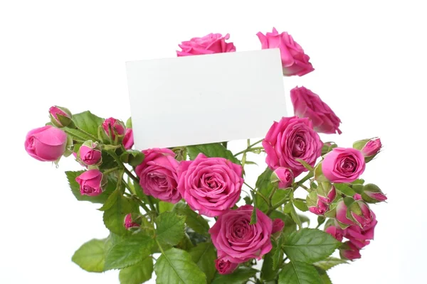 Belles fleurs avec espace vide pour votre texte — Photo