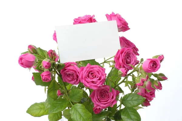 Όμορφα λουλούδια με κενό χώρο για το κείμενό σας — Φωτογραφία Αρχείου