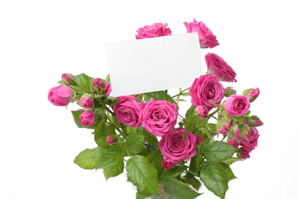 Biglietto d'auguri con rose — Foto Stock