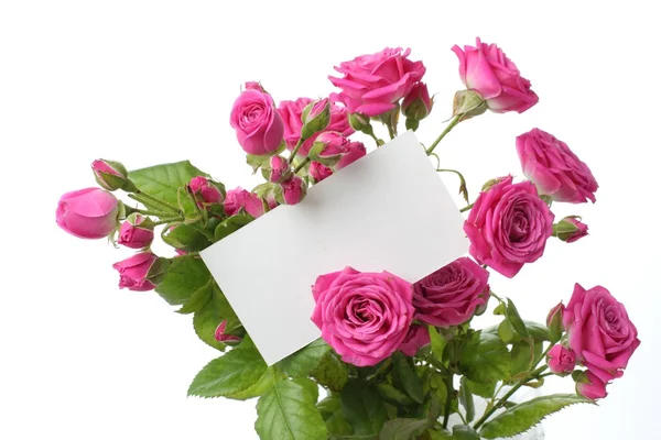 Tarjeta de felicitación con rosas —  Fotos de Stock