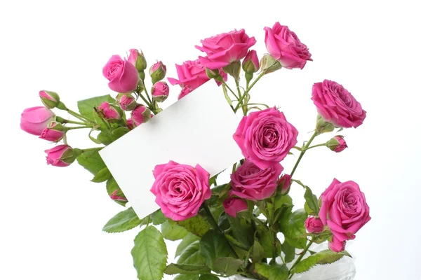 Greeting card with roses — Stock Photo, Image
