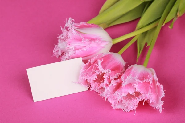 Букет з рожевих тюльпанів — стокове фото