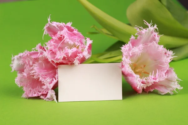 Tulipanes rosados con una tarjeta de felicitación —  Fotos de Stock