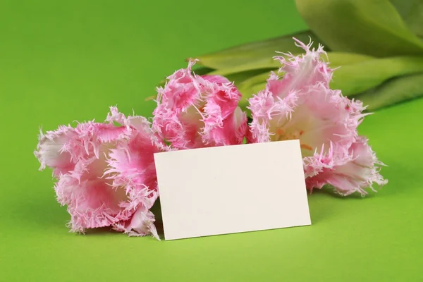 Tulipanes rosados con una tarjeta de felicitación — Foto de Stock