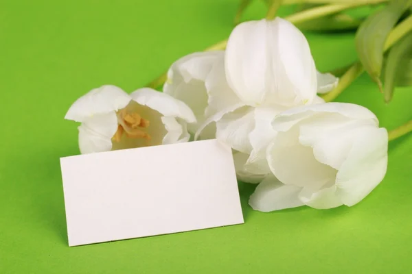 Witte tulpen met een felicitatie kaart — Stockfoto