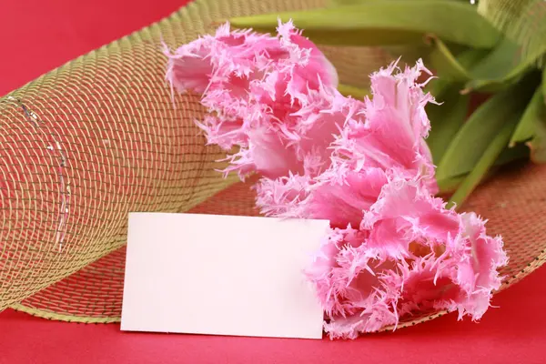 Pink tulips with a congratulatory card — Stock Photo, Image