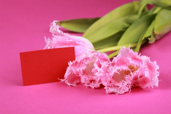 Pink tulips with a congratulatory card — Stock Photo, Image