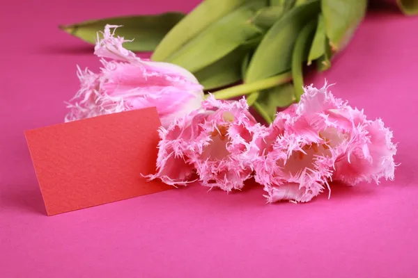 Ροζ τουλίπες με ένα συγχαρητήριο κάρτα — Φωτογραφία Αρχείου