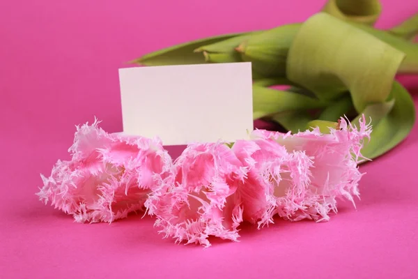 Pink tulips with a congratulatory card — Stock Photo, Image