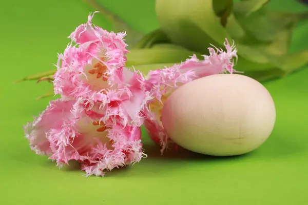 Easter eggs and tulips — Stock Photo, Image