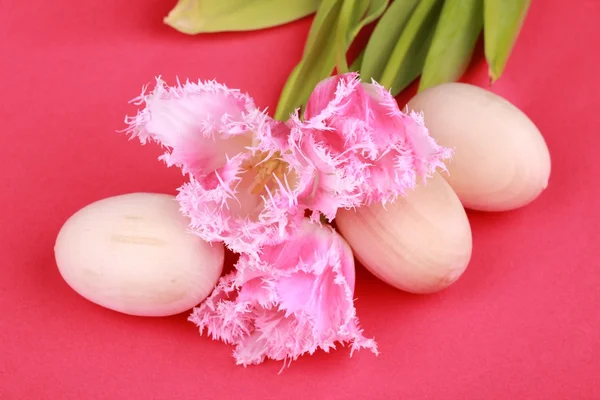 Ostereier und Tulpen — Stockfoto