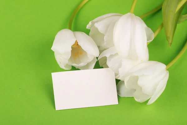 Tulipanes blancos con una tarjeta de felicitación —  Fotos de Stock