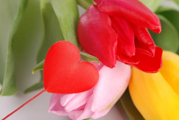 Tulips and decorative heart — Stock Photo, Image